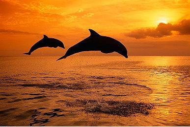 佛州小丑继续喊话R星：让我为《GTA6》角色配音